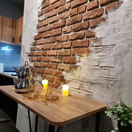 Vintage Luxe Loft - Centar Apartment